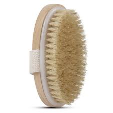 Dry Body Brush