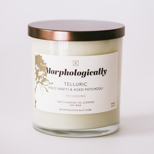 Morphologically Telluric Candle palo santo patchouli medical aesthetics hudson valley